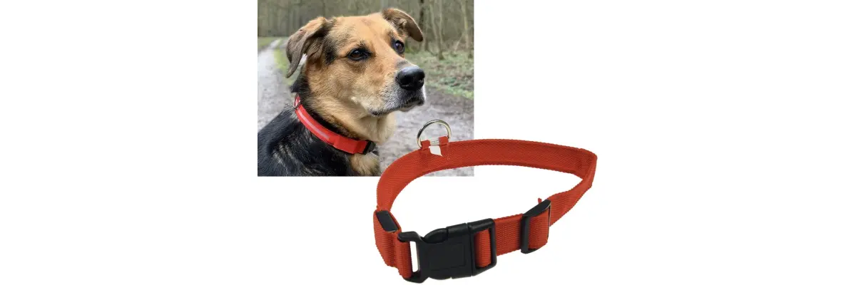 🐾 Wir unterstützen das Tierheim Gießen – weniger Müll, mehr Freude für die Fellnasen - Spende an das Tierheim Gießen – Nachhaltigkeit &amp; Tierschutz