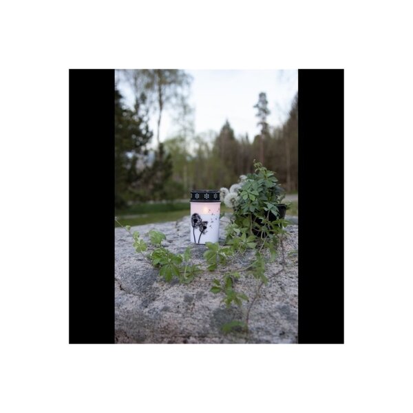 LED Grablicht Dandelion Weiß – Löwenzahnmotiv, Timer, IP44, Außenbereich