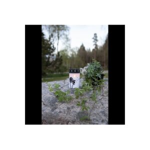 LED Grablicht Dandelion Weiß –...