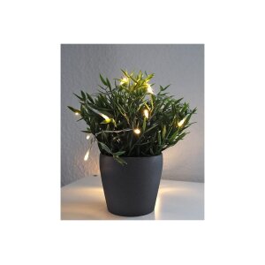 LED Dekolichterkette warmweiß – 20 LEDs, 2?m, Batteriebetrieb