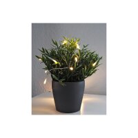 LED Dekolichterkette warmweiß – 20 LEDs, 2?m, Batteriebetrieb