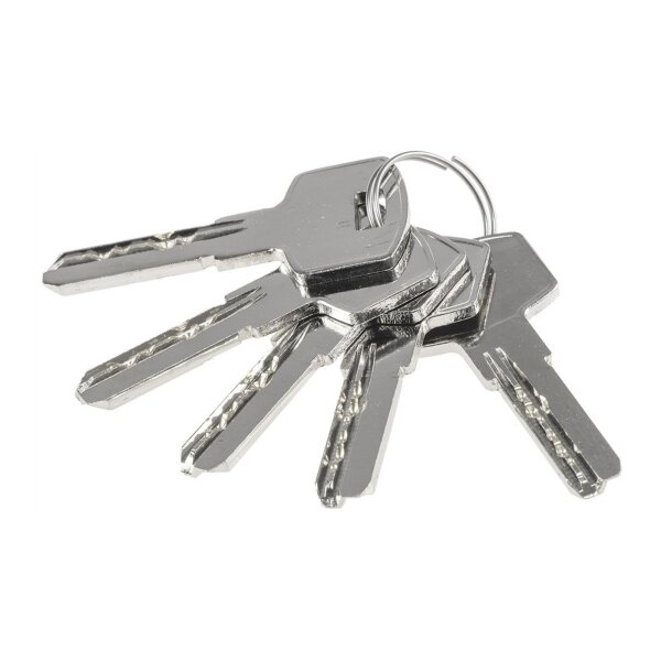 Profil-Schließzylinder 80 mm mit Drehknauf | 5 Sicherheitsschlüssel