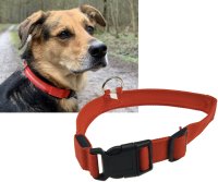 Hunde-Halsband leuchtend mit LED  rot