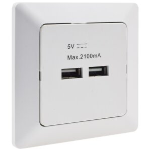 2-fach USB-Ladedose Delphi & MILOS | USB-A 3,1A...