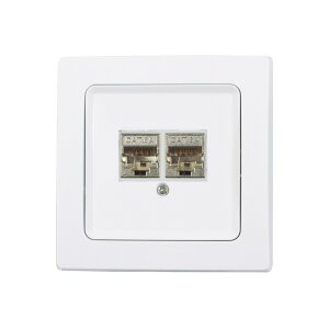 Delphi Netzwerk-Dose 2-fach CAT6a, mit 1-fach Rahmen...