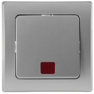 DELPHI Kontroll-Schalter mit Beleuchtung Orientierungsschalter mit 1-fach Rahmen Geeignet für Mehrfachrahmen Einsatz 55x55mm Silber Grau