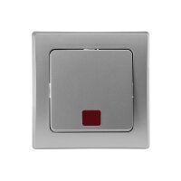 DELPHI Kontroll-Schalter mit Beleuchtung Orientierungsschalter mit 1-fach Rahmen Geeignet für Mehrfachrahmen Einsatz 55x55mm Silber Grau