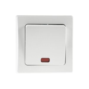 DELPHI Kontroll-Schalter mit Beleuchtung 230V...