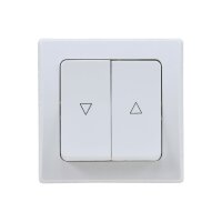 DELPHI Jalousien-Steuerung I Stufen-Taster I Hoch / Runter I 2 Wippen I 250V I inkl. Rahmen I Schraub-Anschluss I Unterputz I weiß