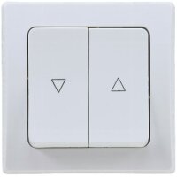 DELPHI Jalousien-Steuerung I Stufen-Taster I Hoch / Runter I 2 Wippen I 250V I inkl. Rahmen I Schraub-Anschluss I Unterputz I weiß