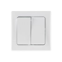 DELPHI 2-fach Serien-Schalter I Doppel-Schalter I 2 Wippen I 250V 10A I inkl. Rahmen I Unterputz I weiß
