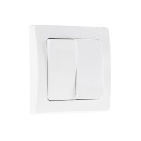 DELPHI 2-fach Serien-Schalter I Doppel-Schalter I 2 Wippen I 250V 10A I inkl. Rahmen I Unterputz I weiß