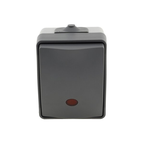 ChiliTec Kontrollschalter mit Licht IP54 Feuchtraum Aufputz 250V~/ 10A 2300W gummierte Kabeleinführung 77x62x55mm Grau