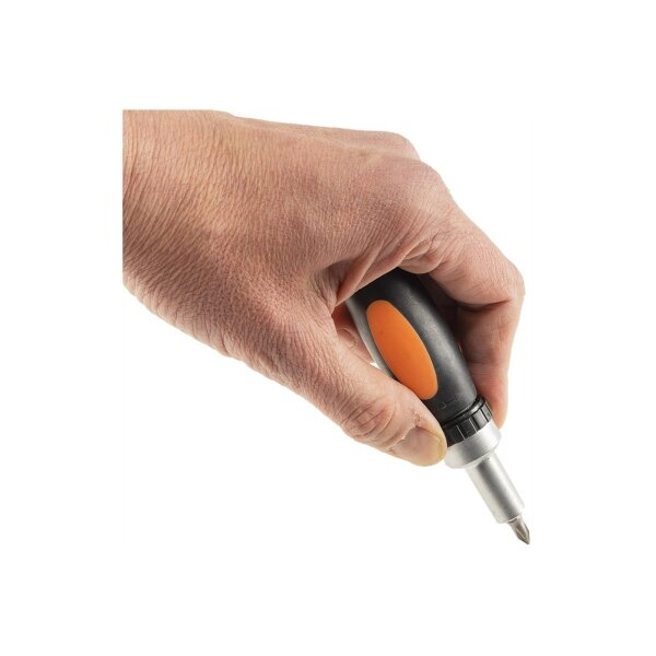 ChiliTec Bitsatz Multi Box 101" 100 Bits & Ratschen-Dreher