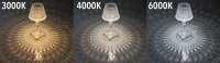 LED Akku-Tischleuchte "Foco Guapa" Li-Akku, Weiß & Warmweiß, ØxH 11x26cm