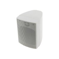 Satelliten Lautsprecher "CTB-40W" Paar 40W, 8Ohm, 130x95x115mm, weiß