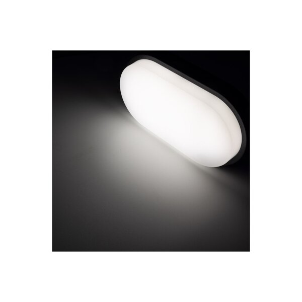 LED Wandleuchte "PALAU" IP54, 4000K Oval, 10 Watt, 900 Lumen, Anthrazit