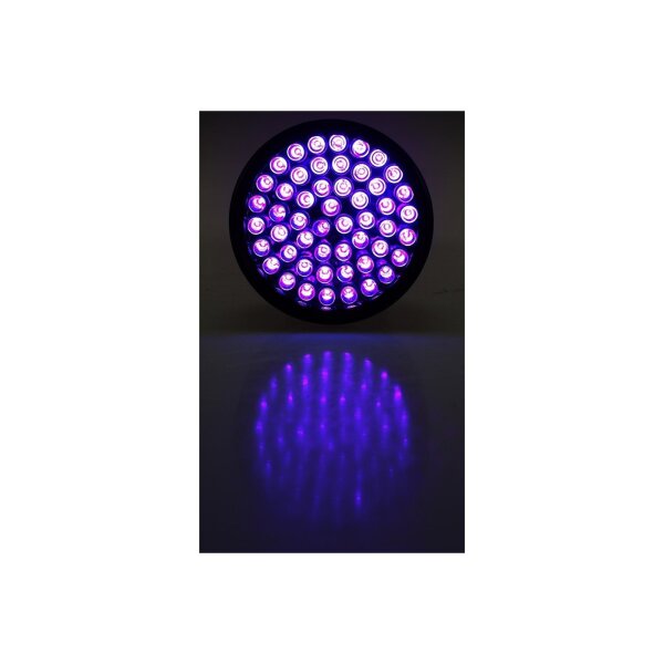 LED-Taschenlampe mit 51 UV LEDs Schwarzlicht, ØxL 55x145mm
