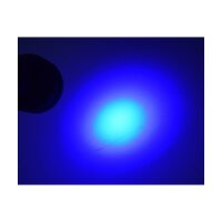 LED-Taschenlampe mit 51 UV LEDs Schwarzlicht, ØxL 55x145mm