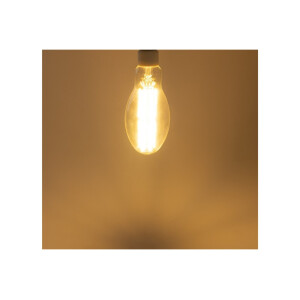 LED Filament Lampe E27 FHE-30 – 30W, 4575lm, Warmweiß 2669K