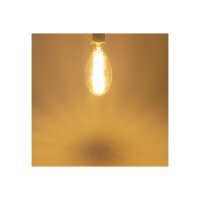 LED Filament-Lampe E27 50W "FHE-50" 7841lm, 2700K, warmweiß, ØxH 9x24cm