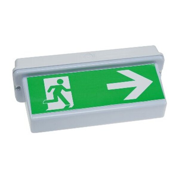 LED Fluchtwegleuchte "NL-D2" 30 LEDs