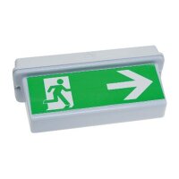 LED Fluchtwegleuchte "NL-D2" 30 LEDs