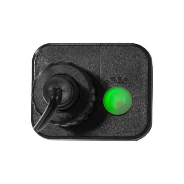 Lichterkette Berry Mini – 300 bunte LEDs für Außen, 6m mit Timer & Blinkfunktionen