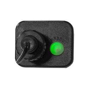 Lichterkette Berry Mini – 300 bunte LEDs für Außen, 6m mit Timer & Blinkfunktionen