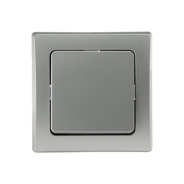 DELPHI Wechsel-Schalter 250V~ silber | Modern & kompakt