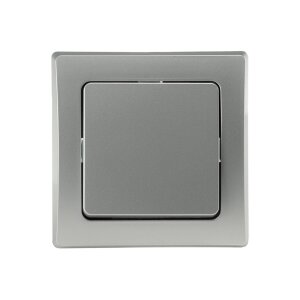 DELPHI Wechsel-Schalter 250V~ silber | Modern & kompakt