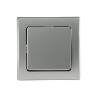 DELPHI Wechsel-Schalter 250V~ silber | Modern & kompakt