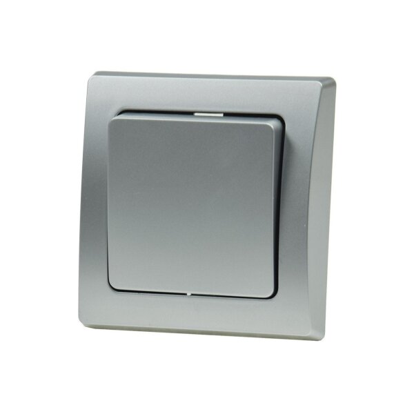 DELPHI Wechsel-Schalter Silber – 250V~/10A mit Rahmen