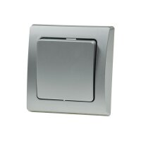 DELPHI Wechsel-Schalter Silber &ndash; 250V~/10A mit Rahmen