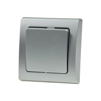 DELPHI Taster 0-250V~/ 10A, inkl. Rahmen, UP, silber