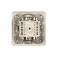 Datendose Cat.6 Unterputz 2xRJ45 rechts/links RAL9010 | 250?MHz, vollgeschirmt