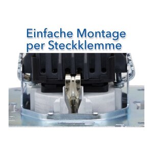 DELPHI Steckdose Unterputz Wand-Steckdose Klemmanschluss...