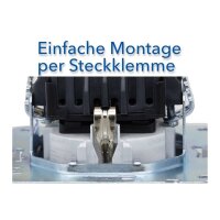 DELPHI Steckdose Unterputz Wand-Steckdose Klemmanschluss I 230V Schutzkontakt-Steckdose mit erhöhtem Berührungsschutz Silber Grau #1