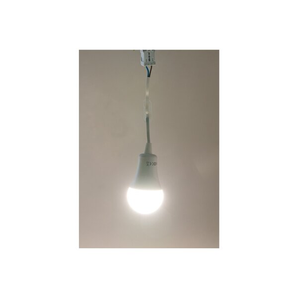 Baustellen-Leuchte A60 mit 15 cm Kabel 12W