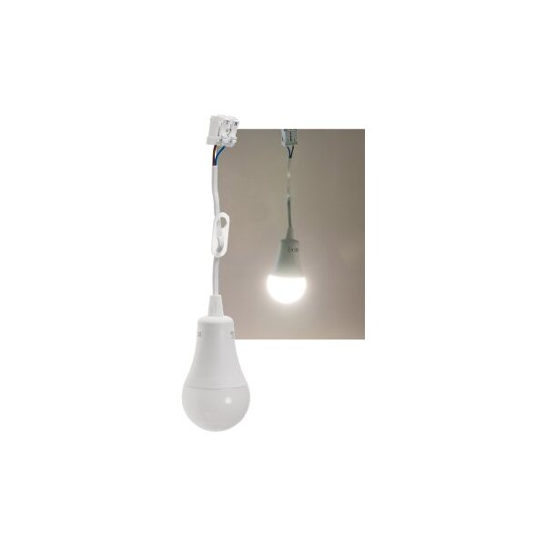 Baustellen-Leuchte A60 mit 15 cm Kabel 12W