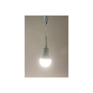 Baustellen-Leuchte A60 mit 15 cm Kabel 12W