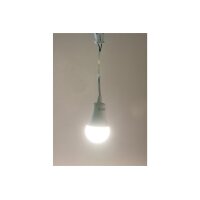 Baustellen-Leuchte A60 mit 15 cm Kabel 12W