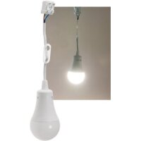 Baustellen-Leuchte A60 mit 15 cm Kabel 12W