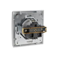DELPHI Schutzkontakt-Steckdose Silber – 250V UP inkl. Rahmen
