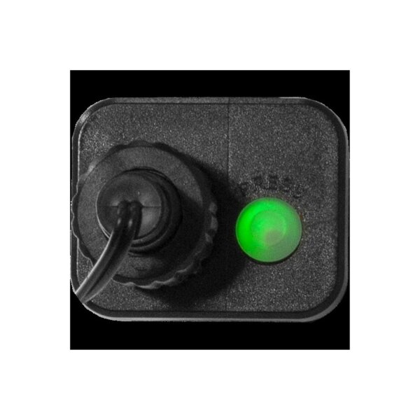 Lichterkette Berry Mini – 300 warmweiße LEDs, 6?m Länge, Timer, IP44, 8 Modi