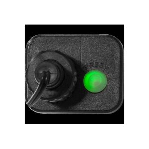 Lichterkette Berry Mini – 300 warmweiße LEDs, 6?m Länge, Timer, IP44, 8 Modi