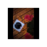 Solargartenstab Albaleaf weiß – warmweiß, Solar, Dämmerungssensor, höhenverstellbar