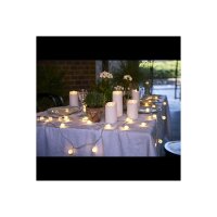 Lichterkette "Berry"