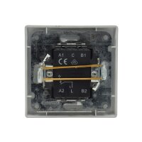 ChiliTec Delphi Taster Klingeltaster 0-250V~/ max. 10A mit 1-Fach Rahmen Abnehmbar I Unterputz Einbau Silber Grau