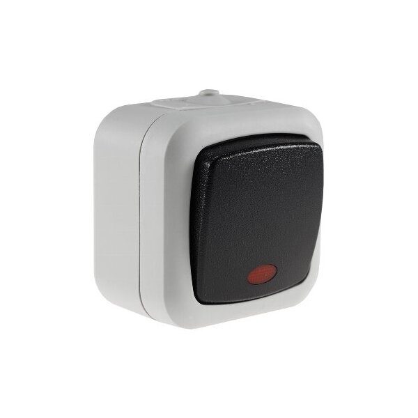 Feuchtraum Serien-Schalter mit Kontroll Lampe IP44 Aufputz 250V 10A Grau